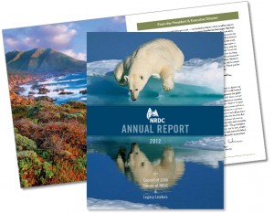 NRDC Annual Report